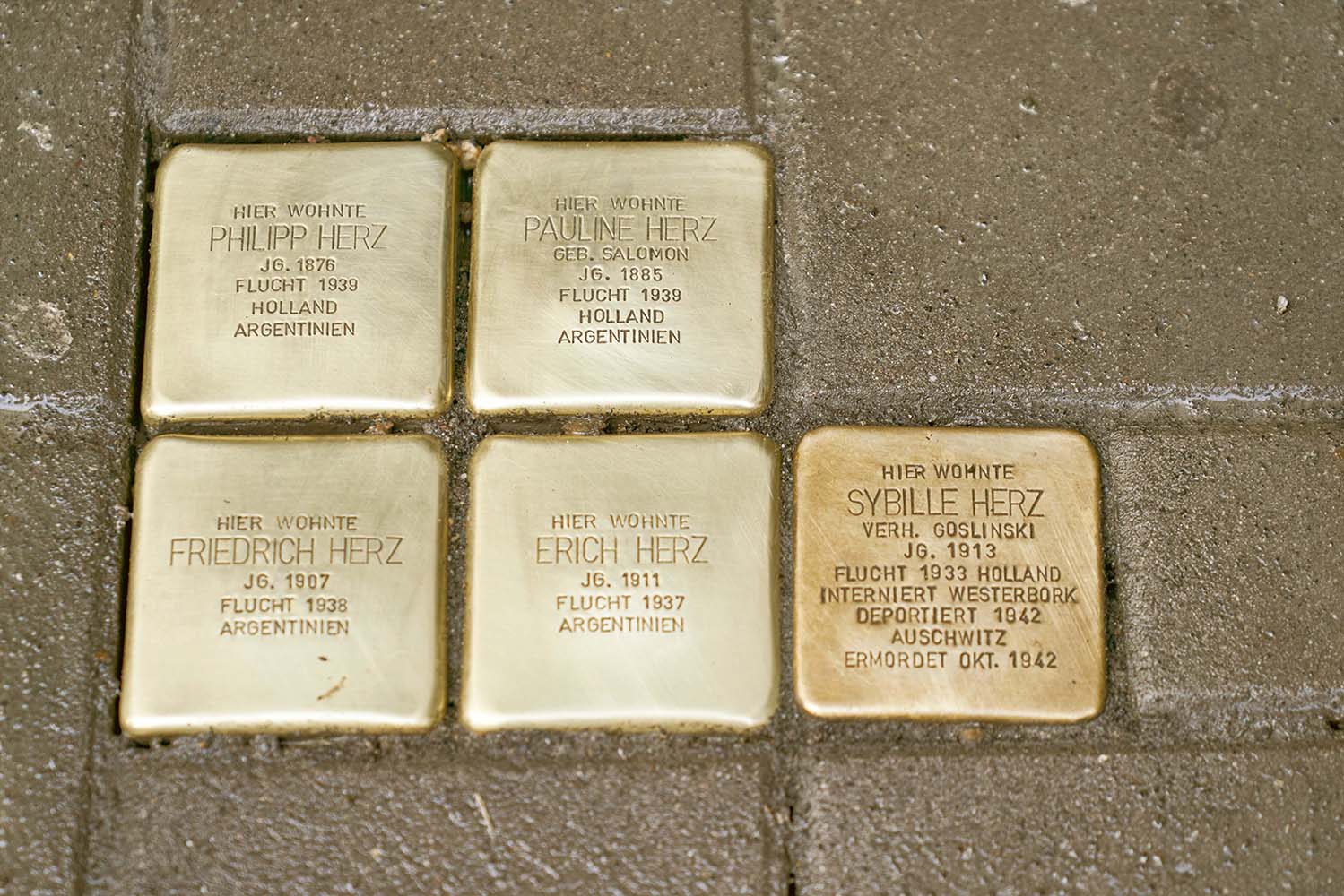 Stolpersteine NRW Gegen Das Vergessen WDR   Image About Research 2.05a9c429 